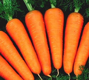 В Украине за последние 10 лет рекордно подорожала морковь