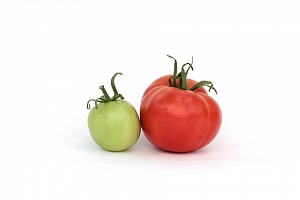 Более 60% помидоров в России содержат пестициды