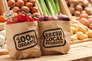 Из Украины экспортируется 80% органической продукции