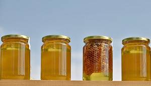 Перевірка меду на якість: в Україні стартував новий проект