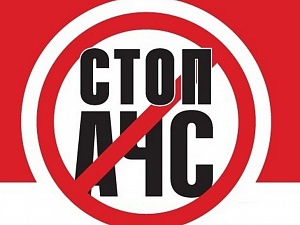 Относительно случаев АЧС в Николаевской и Одесской областях