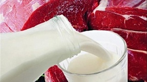 Valio разработала заменитель мяса из молока