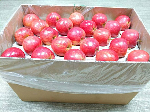 Первый контейнер украинских яблок отправлен в страны Персидского залива