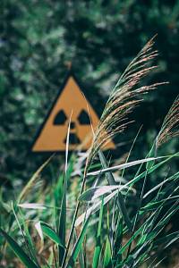 Житомирские ученые работают над возвращением в производство радиоактивно загрязненных почв