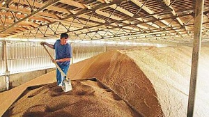 Цены на зерновые в мире снизились до 10-летнего минимума