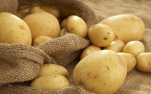 В Украине дорожает картофель