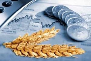 Инвестиции в сельское хозяйство Украины составили 10,5 млрд. гривен