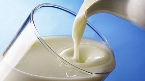 Молоко в Польше стоит на 25% дешевле, чем в Украине