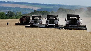 Украина: в Сумской области собрано более 40 тыс. тонн ранних зерновых