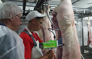 ТзОВ «ВМП» будет сканировать свиней