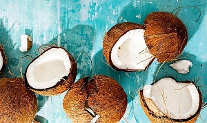 Интересности: 12 «кокосовых» фактов