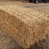 Солома пшенична врожай-2017