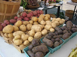 В Украине растут цены на картофель