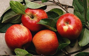 Цены на яблоки в течение мая выросли в 1,5 раза