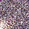 Семена озимого чеснока сорт Софиевский 