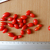 Ягода годжи семена (10 штук) (дереза обыкновенная) для выращивания саженцев, насіння годжі на саджанці