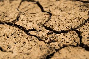 Науковці оцінюють цьогорічну засуху як стихійне агрометеорологічне явище