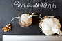 Рокамболь семена (детки) (10 штук) (слоновий чеснок) гигантский лук-чеснок, насіння часнику