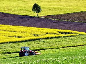 В Україні продано майже 40 тисяч гектарів землі сільгосппризначення