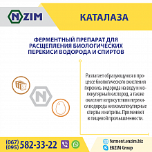 Каталаза ENZIM - Завод ЕНЗИМ м.Ладижин, Україна
