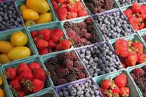 Экспорт замороженных ягод и фруктов вырос на 42%