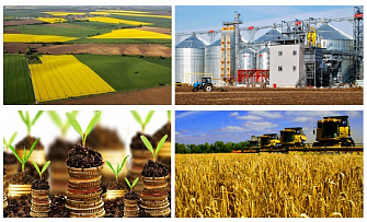 Украинский Агрохолдинг  купит Агрофирму сельхоз предприятие от 1000 га до 100000 га ,  Фермерские хозяйства, паи, аренду земли
