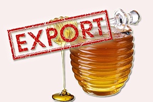 Экспорт украинского меда сократился на 43%