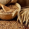 Куплю пшеницу фуражную. Луганск и область