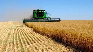 Инвестиции в сельское хозяйство достигли 40,5 млрд. грн.
