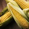 Закуповуємо кукурудзу в Україні