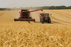 Збирання врожаю ранніх зернових вже завершили аграрії 15 областей