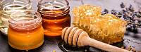 Характеристики найпоширеніших сортів меду