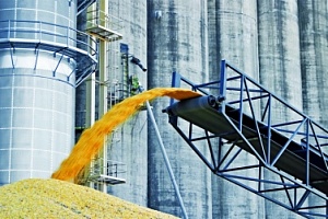 Украина экспортировала 32 млн. тонн зерновых