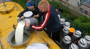 На Сумщине молокозавод задолжал крестьянам 4,5 миллиона гривен 