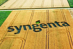 Syngenta отвергла предложение о слиянии с Monsanto