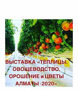 Теплиці. Овочівництво. Зрошення. Квіти Алмати 2020