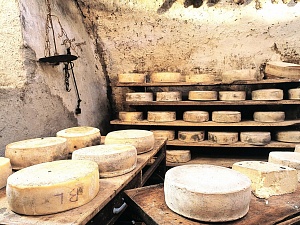 Производство твердых и полутвердых сыров в домашних условиях