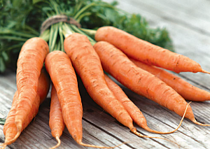 Подорожала морковь – ее цена на данный момент самая высокая за последние пять лет