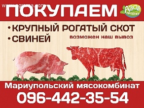 Мариупольский мясокомбинат скупает крупный рог. скот, свиней