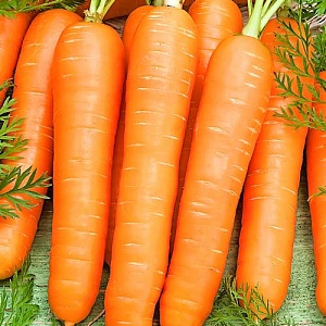 С начала недели морковь в Украине подешевела на 18%