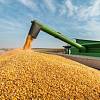 Закупаем зерновые по всей территории Украины
