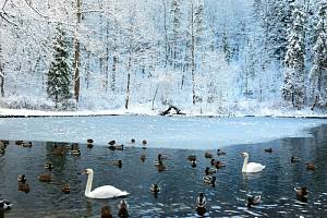 Негативные последствия бесснежных зим в Украине