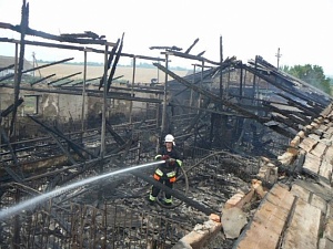 В Хмельницкой области сгорела свиноферма