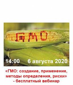 ГМО: создание, применение, методы определения, риски 2020