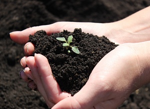 Органические удобрения используются только на 1% земель