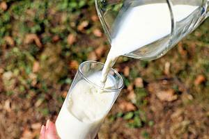 До 2030 року виробництво молока в Україні може зменшитися на 12% 