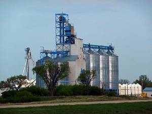 Украина увеличит производство зерна