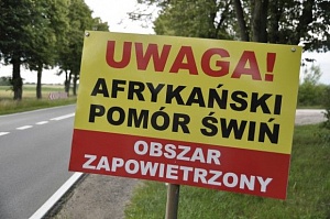 Аграрный министр Польши требует от фермеров отказаться от свиноводства