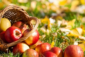 Украина снизила на треть импорт яблок