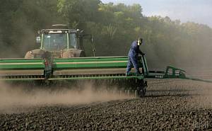 В западных областях Украины из-за непогоды придется пересевать ранние яровые зерновые